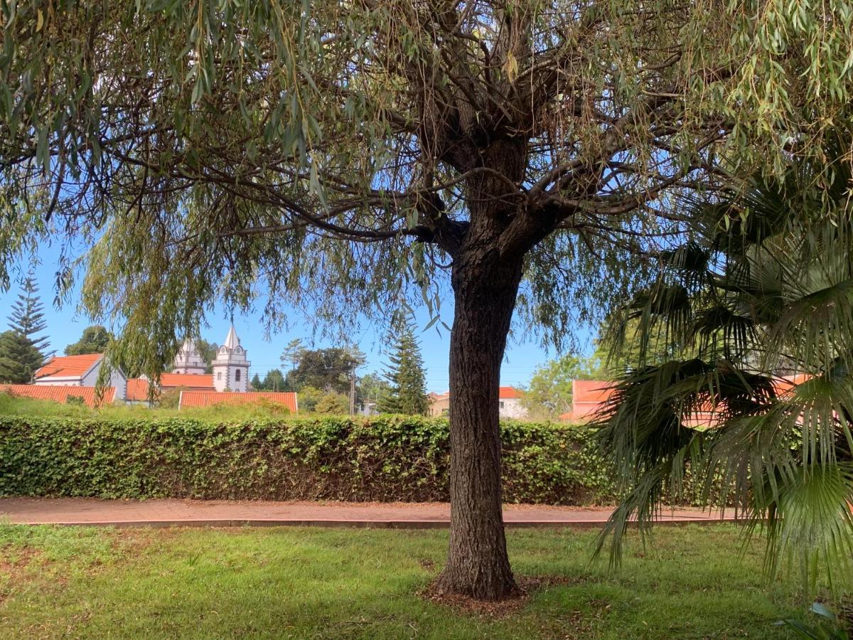 Casa De Cha Prazeres旅舍 外观 照片